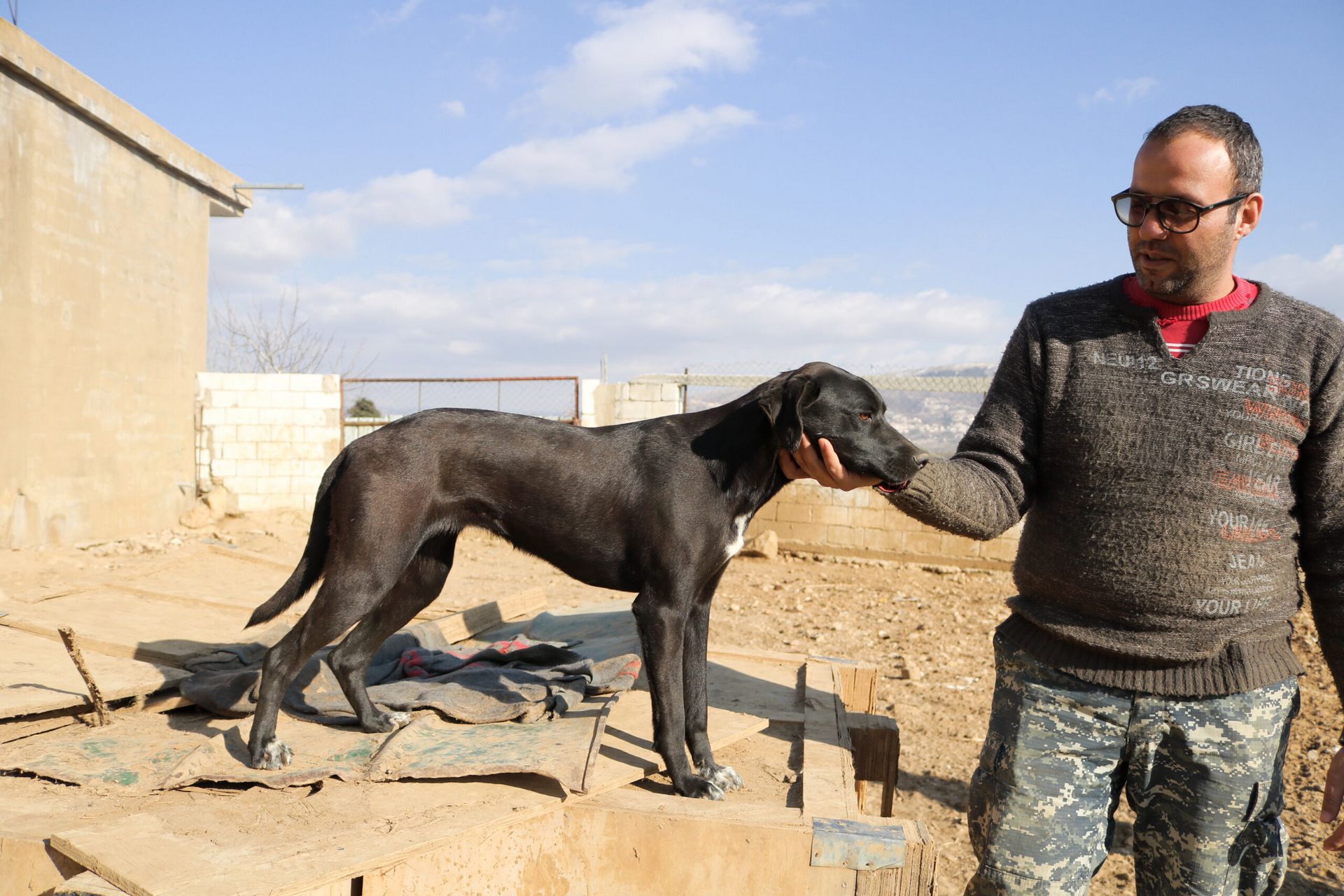 Bekaa Rescue and Shelter