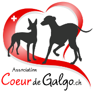 association coeur de galgo